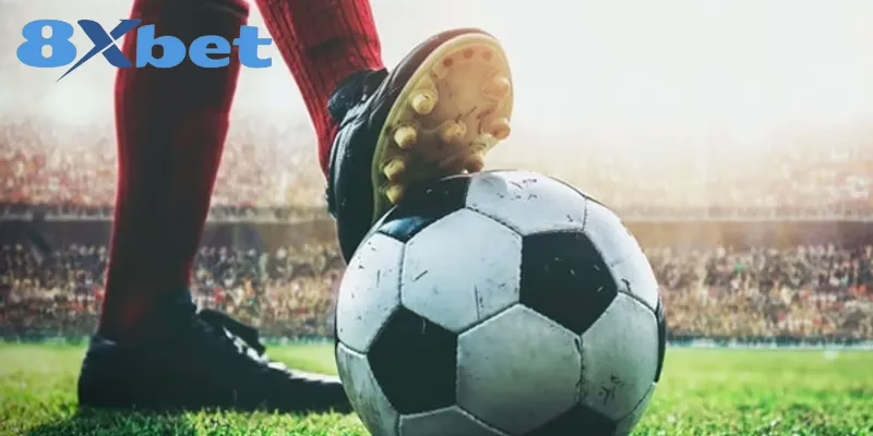 Phân Biệt Rõ Cược Đơn, Cược Xiên Và Cược Rung Tại 8XBET 5 So sánh các loại cược theo một số tiêu chí cơ bản